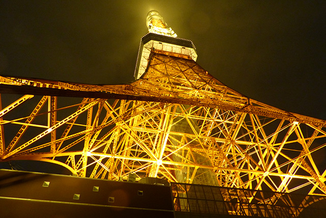 侍出陣式を見つめた夜空に輝く東京タワー