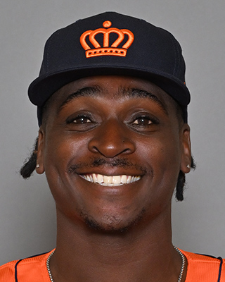 Didi Gregorius