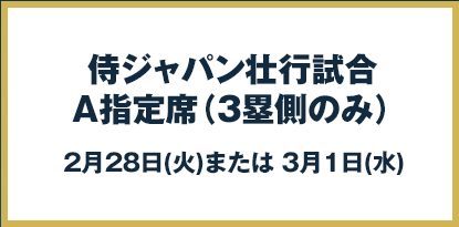 侍ジャパン壮行試合A指定席