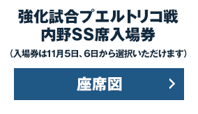 内野SS券入場券