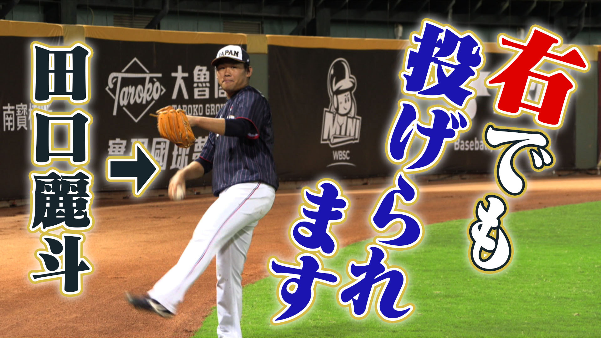 侍の名のもとに　野球日本代表 侍ジャパンの800日