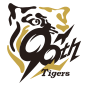 阪神タイガース